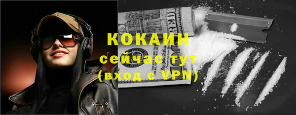 бошки Белокуриха