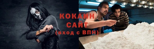 бошки Белокуриха