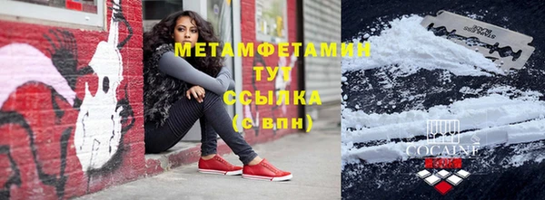 прущие грибы Богородицк