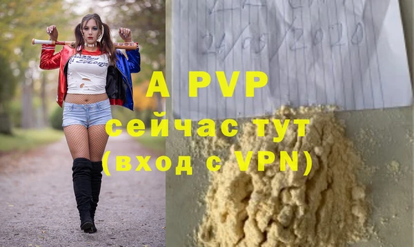 бошки Белокуриха