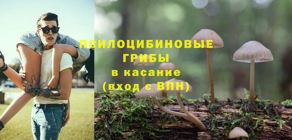 соль ск Богданович