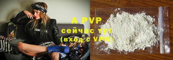 бошки Белокуриха