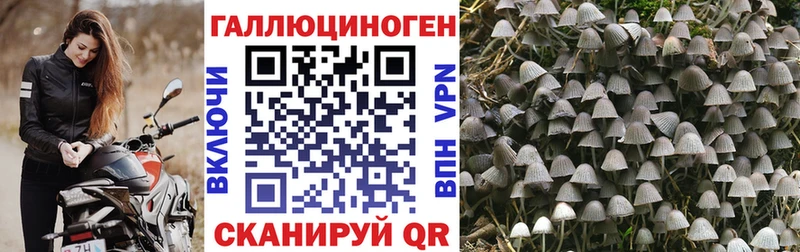 Псилоцибиновые грибы ЛСД  ОМГ ОМГ ТОР  Бутурлиновка  наркота 