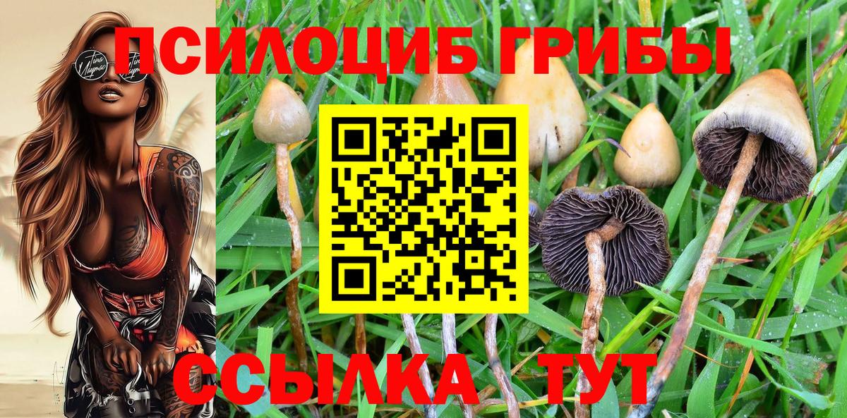 Галлюциногенные грибы MAGIC MUSHROOMS  Вход с VPN  Галлюциногенные грибы мухоморы  Бутурлиновка 